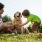 father and son with dog at a park